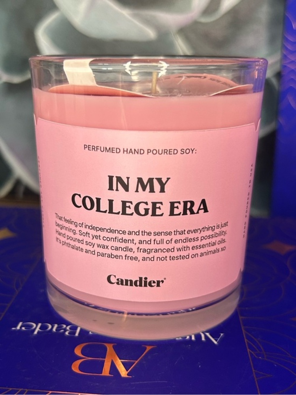 Candier by Ryan Porter "In My College Era" Scented Candle